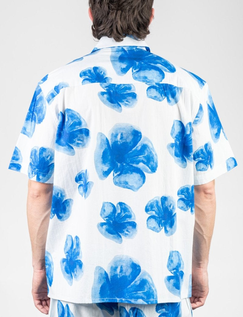 BLUE CICLAMINO - Benevierre