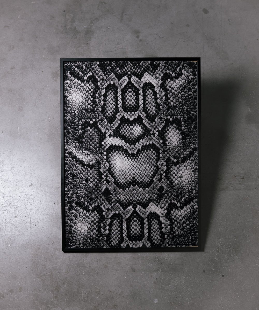 QUADRO WHITE SNAKE - Benevierre