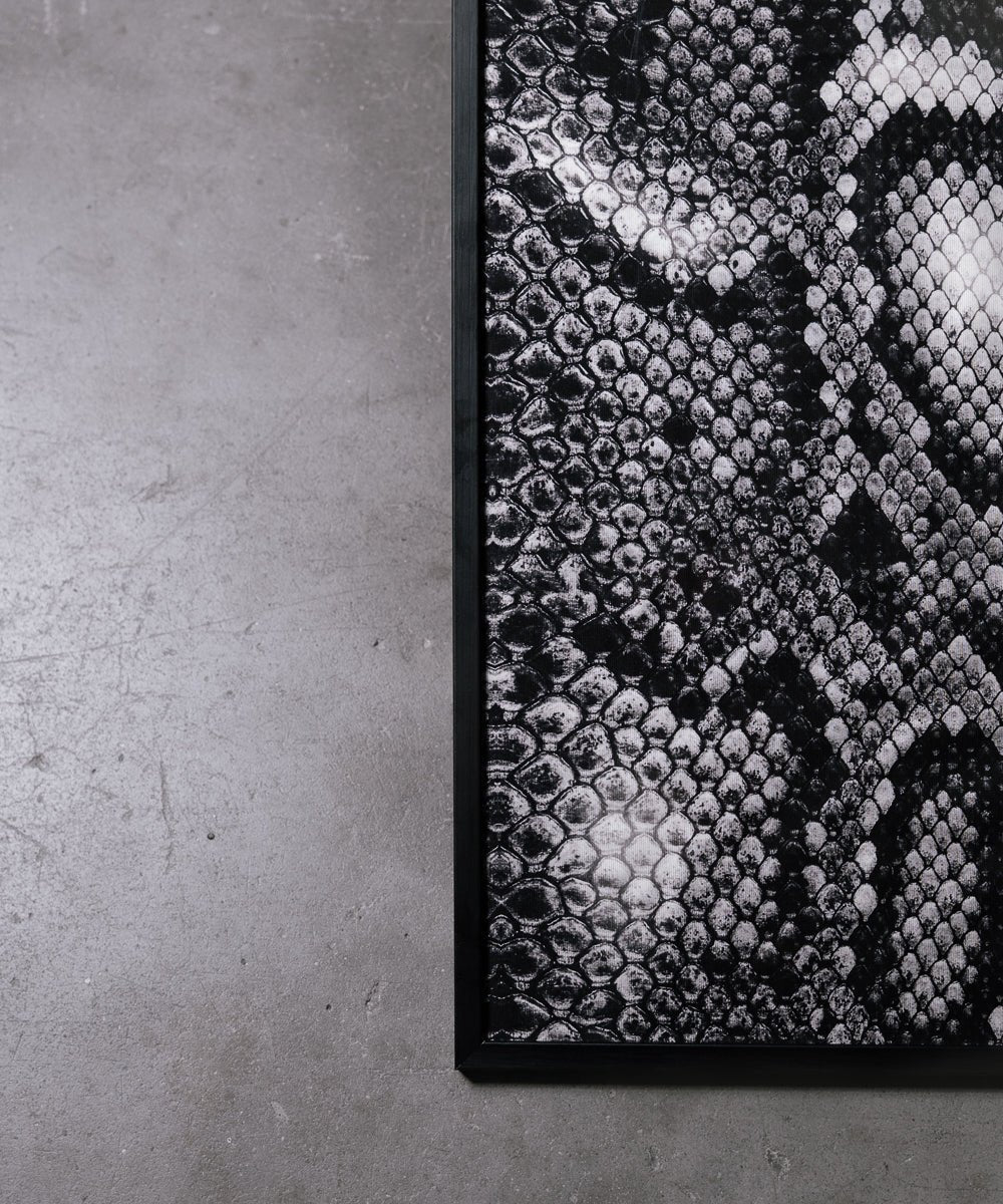 QUADRO WHITE SNAKE - Benevierre
