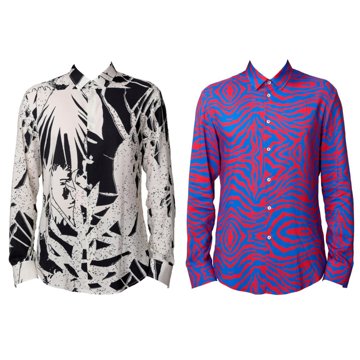 ‘Fern’ + ‘Zebra’ - Benevierre