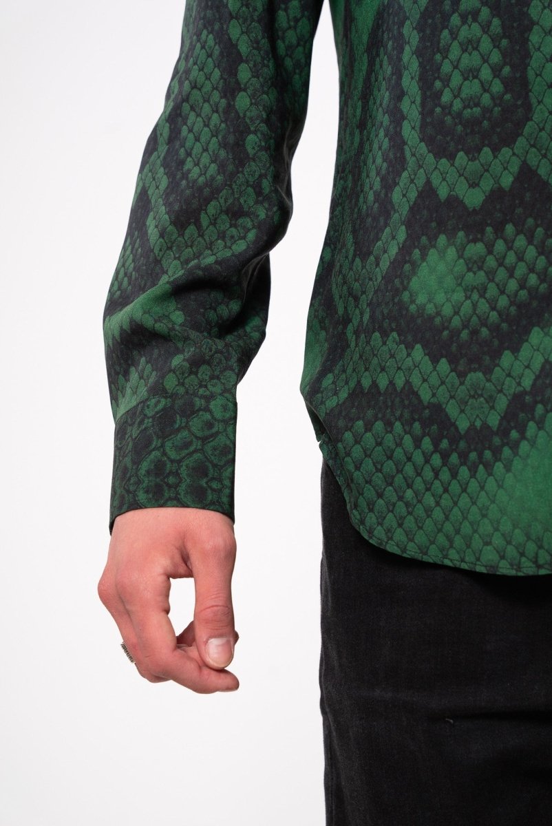 ‘Green Scales’ - Benevierre