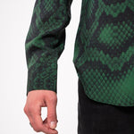 ‘Green Scales’ - Benevierre