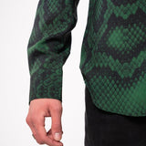 ‘Green Scales’ - Benevierre