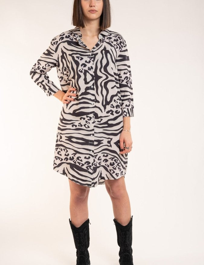 ‘Leopard Zebra’ - Benevierre