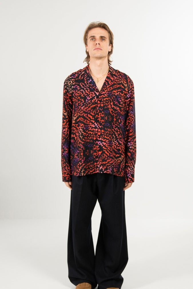 ‘Red Zebra’ - Benevierre