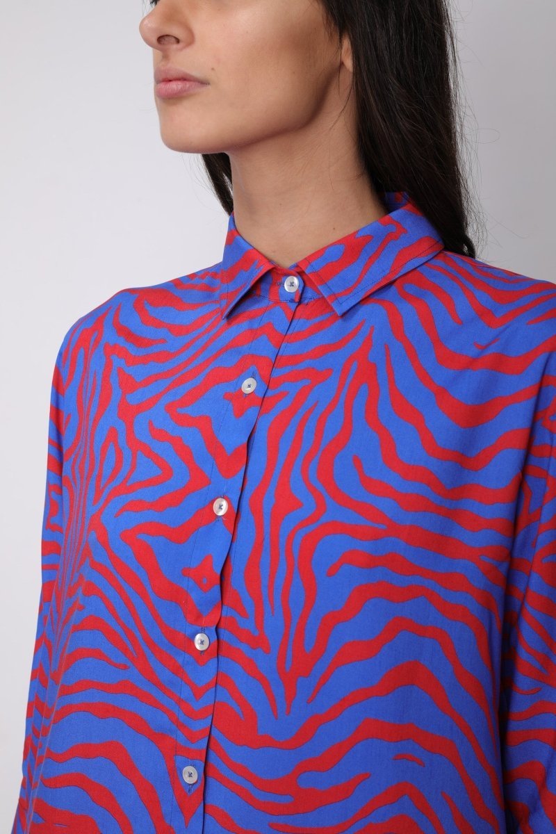 ‘Zebra’ - Benevierre