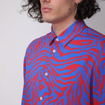 ‘Zebra’ - Benevierre