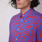 ‘Zebra’ - Benevierre